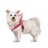 No Pull Nylon Quick Fit Reflective Stitching Dog Harness