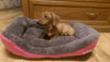 Pet Dog Bed Warming Dog House Soft Material Pet Nest Candy Colored Dog Fall