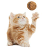 Pet Cat Natural Catnip Treat Ball Favor Home Chasing Toys