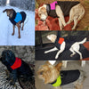 Dog Clothes For Small, Puppy Pet Clothes Waterproof