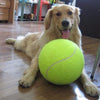 Big Inflatable Tennis Ball for Dog !!!