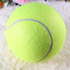 Big Inflatable Tennis Ball for Dog !!!