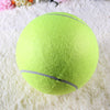 Big Inflatable Tennis Ball for Dog !!!