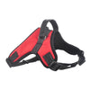 Out Door Dog Harness Hand Strap for Small Large Dogs Pitbulls