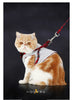 Cat Harnesses Traction Kit Elegant British Style Jacket