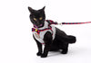 Cat Harnesses Traction Kit Elegant British Style Jacket