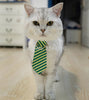 Cat Costume Velcro Tie & Clip Tie for Cats and Dogs