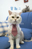 Cat Costume Velcro Tie & Clip Tie for Cats and Dogs