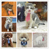 Cat Costume Velcro Tie & Clip Tie for Cats and Dogs