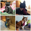 Cat Costume Velcro Tie & Clip Tie for Cats and Dogs