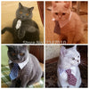Cat Costume Velcro Tie & Clip Tie for Cats and Dogs