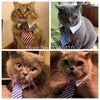 Cat Costume Velcro Tie & Clip Tie for Cats and Dogs