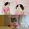 Pet Cat Clothes Easter Bunny Costume Hooded Coat Fleece Warm Rabbit Outfit