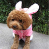 Pet Cat Clothes Easter Bunny Costume Hooded Coat Fleece Warm Rabbit Outfit