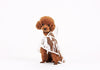 Dog Clothes transparent raincoat light clothes waterproof