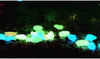 50pcs Glow In The Dark Artificial Luminous Pebbles