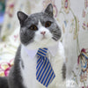 Cat Costume Velcro Tie & Clip Tie for Cats and Dogs