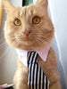 Cat Costume Velcro Tie & Clip Tie for Cats and Dogs