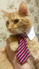 Cat Costume Velcro Tie & Clip Tie for Cats and Dogs