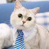 Cat Costume Velcro Tie & Clip Tie for Cats and Dogs