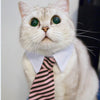 Cat Costume Velcro Tie & Clip Tie for Cats and Dogs