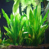 Plastic Manmade Water Plant Grass Green 14cm Height for Aquarium