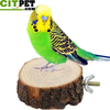 Bird Toy Wooden Hanging Swing Birdcage Parakeet Cockatiel