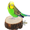 Bird Toy Wooden Hanging Swing Birdcage Parakeet Cockatiel