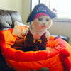 Pet Cat Pirate Costume Suit Halloween with Hat