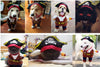 Pet Cat Pirate Costume Suit Halloween with Hat