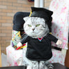 Pet Cat Costume Funny Cat Clothes