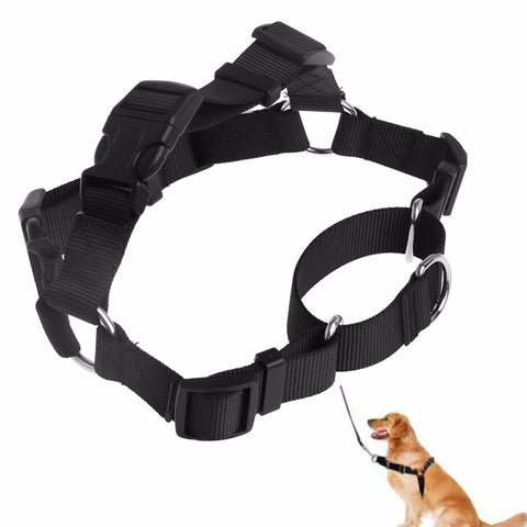 Pet Safe Easy Walk Dog Harness Medium Comfortable And Stylish Lead Leash
