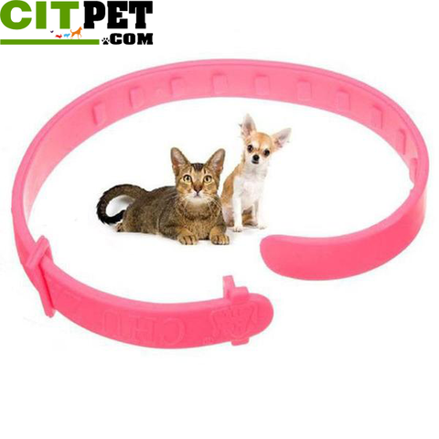 Collar Neck Ring Leave Away From Flea Tick Mite Louse Remedy for Cat Pet