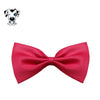 Fashion Cute Necktie for Cat