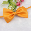 Fashion Cute Necktie for Cat