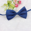 Fashion Cute Necktie for Cat