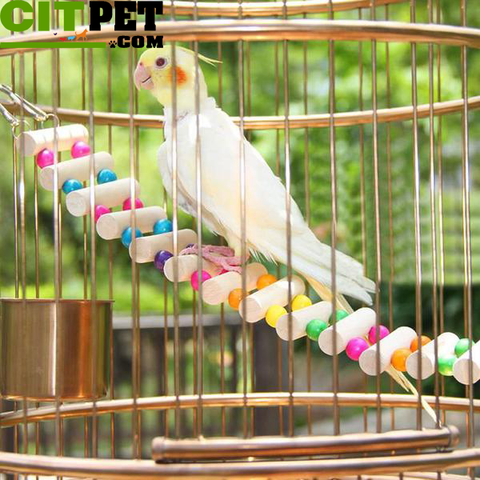 Accessories Drawbridge Bridge Wooden Singing Cockatiel Parrot Toys