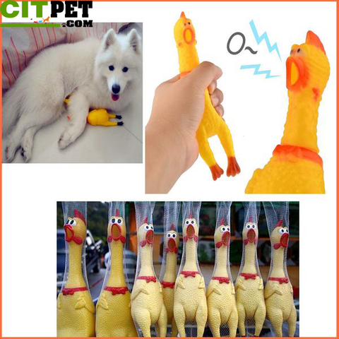 Dog Toy Fun Novelty Squawking Screaming Shrilling Rubber Chicken