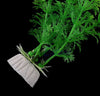 30cm Underwater Artificial Aquatic Plant Ornaments