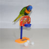 Parakeet Bell Balls Parrot Toys Birdie Basketball Hoop Props Pet Parrot